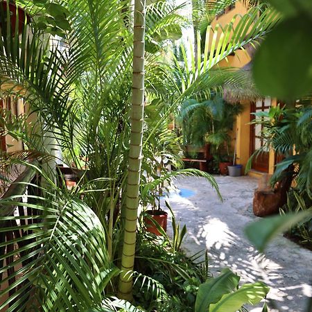 Hotel Bosque Caribe, 5Th Av. Zone Playa del Carmen Exterior photo