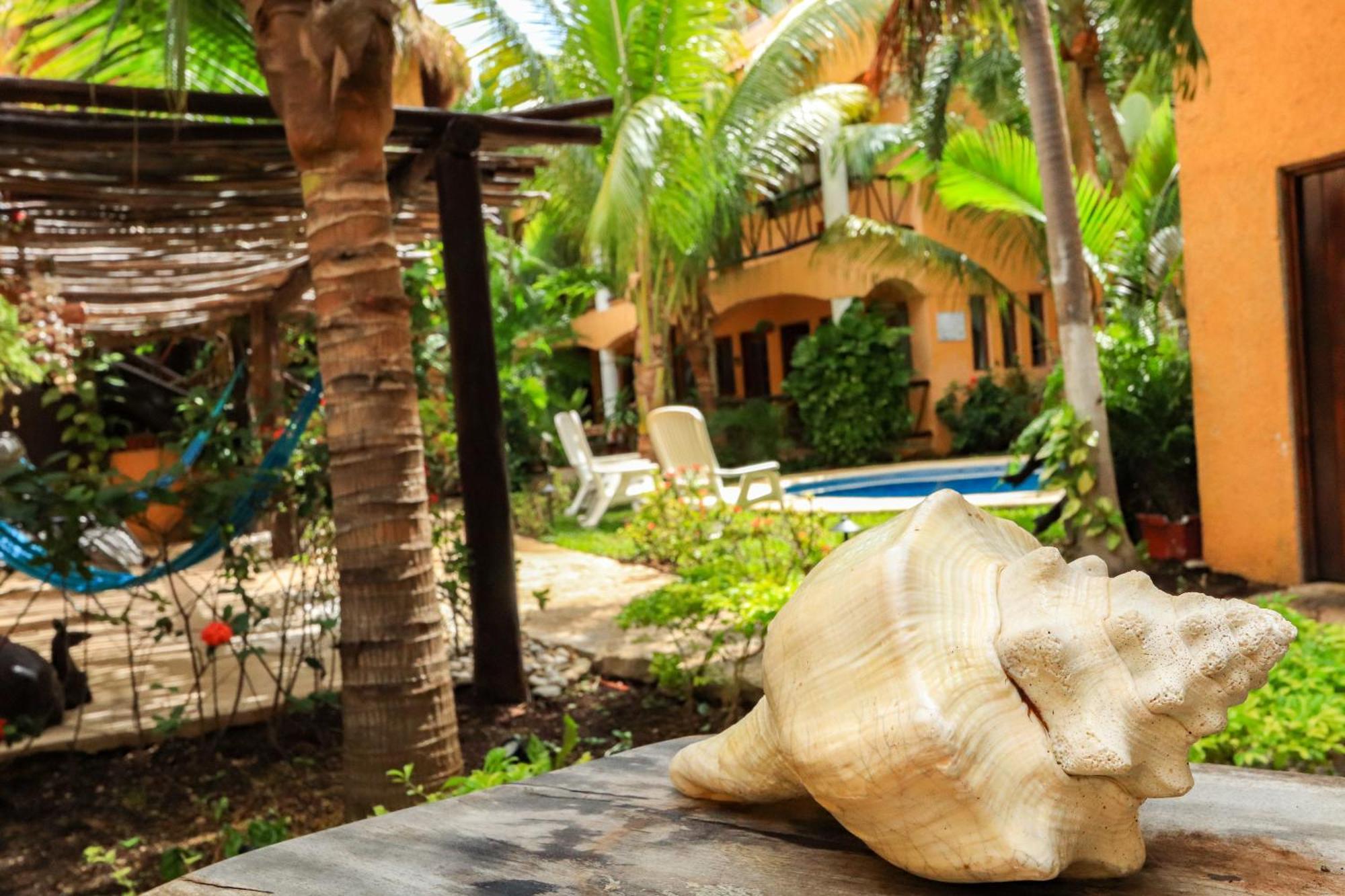 Hotel Bosque Caribe, 5Th Av. Zone Playa del Carmen Exterior photo