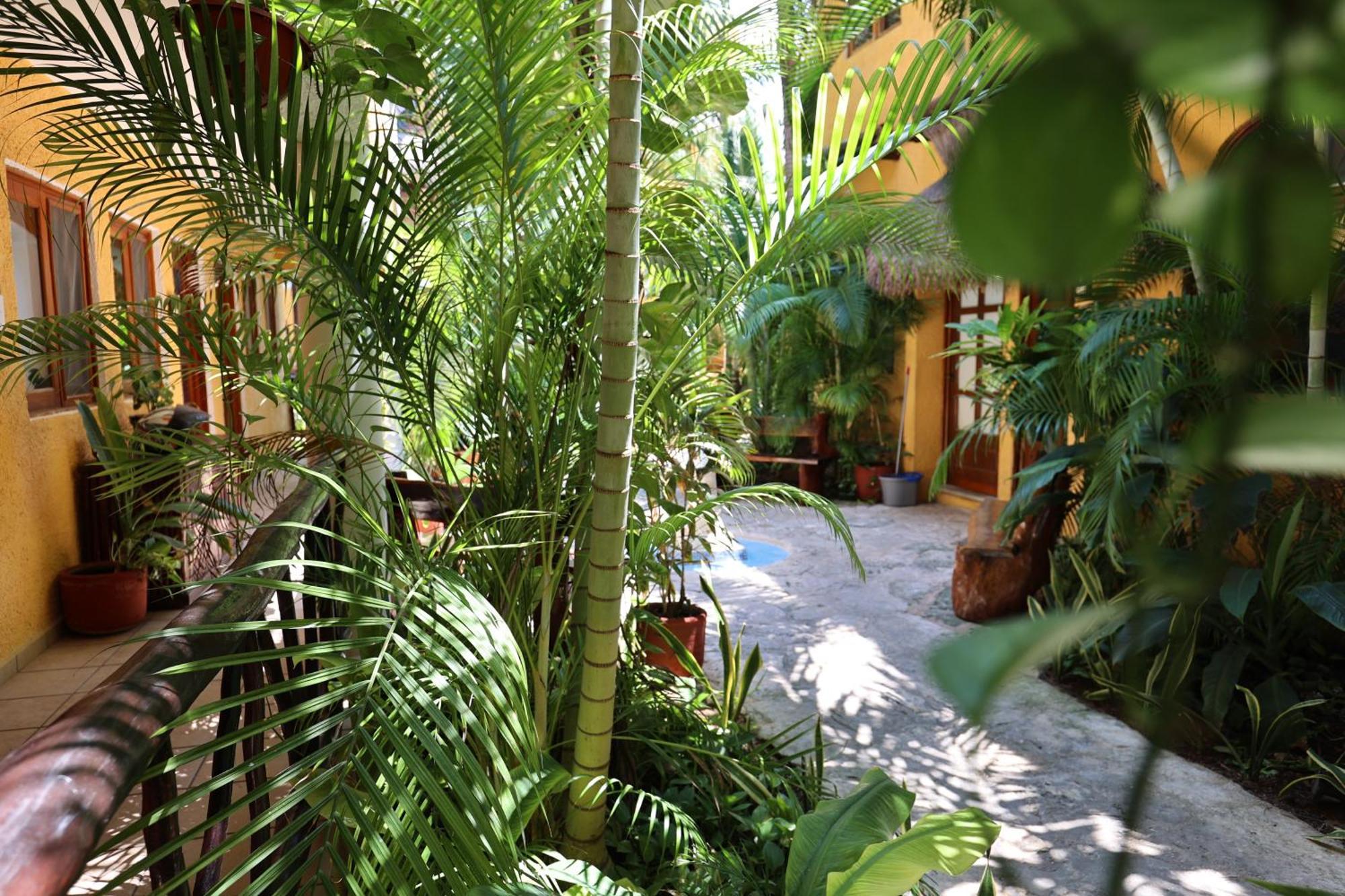 Hotel Bosque Caribe, 5Th Av. Zone Playa del Carmen Exterior photo