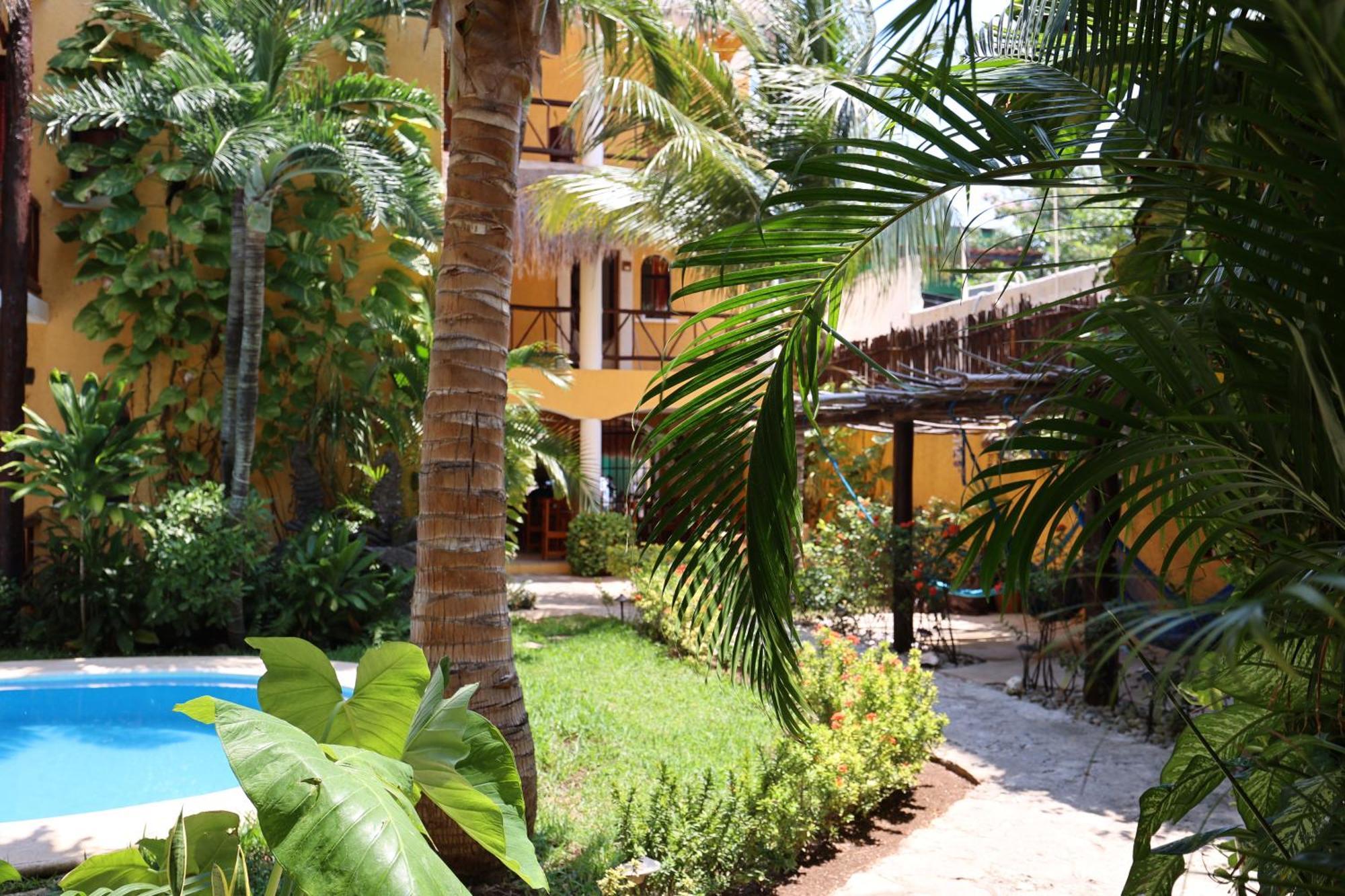 Hotel Bosque Caribe, 5Th Av. Zone Playa del Carmen Exterior photo